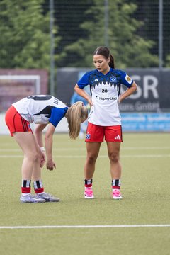 Bild 313 - wBJ Hamburger SV - FC Suederelbe : Ergebnis: 9:0